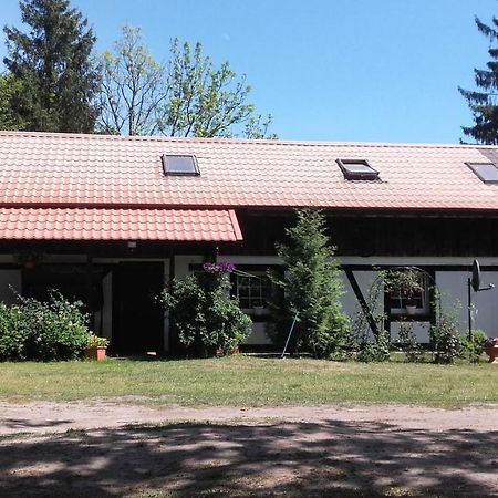 Agroturystyka Pod Debami W Klukach Smołdzino المظهر الخارجي الصورة