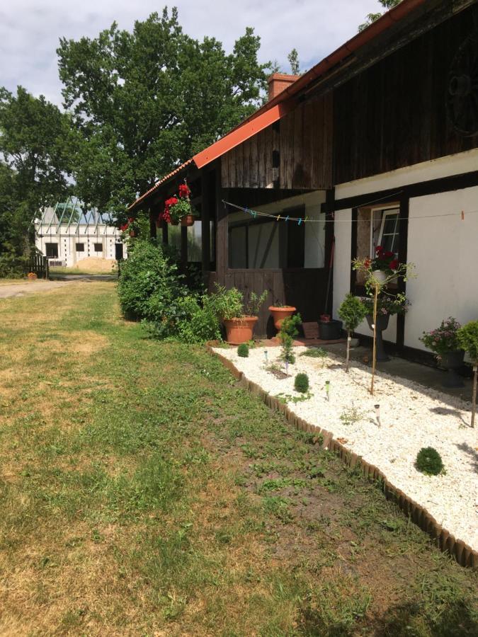Agroturystyka Pod Debami W Klukach Smołdzino المظهر الخارجي الصورة