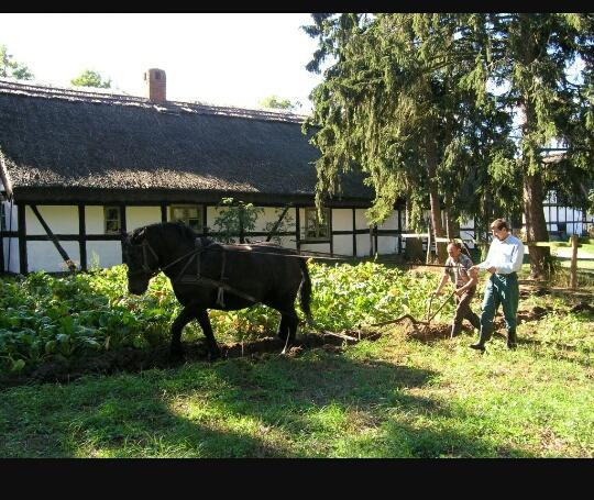 Agroturystyka Pod Debami W Klukach Smołdzino المظهر الخارجي الصورة