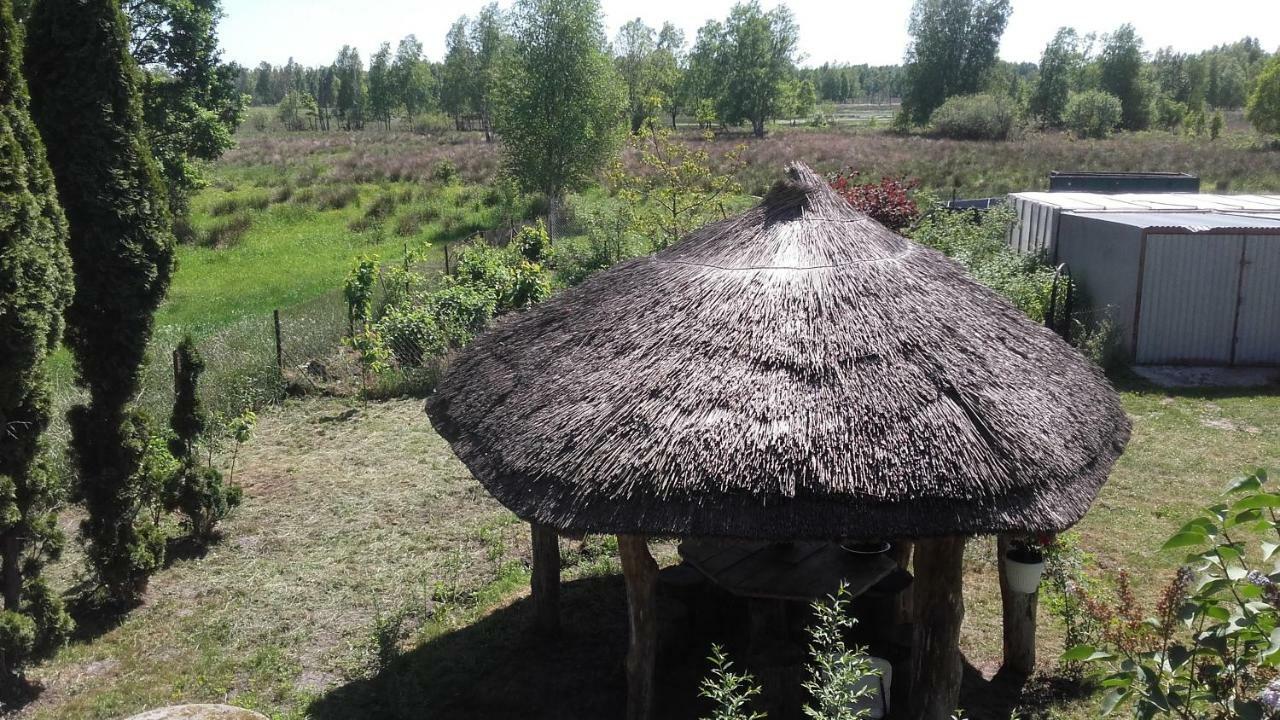 Agroturystyka Pod Debami W Klukach Smołdzino المظهر الخارجي الصورة