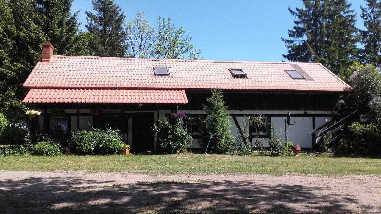 Agroturystyka Pod Debami W Klukach Smołdzino المظهر الخارجي الصورة