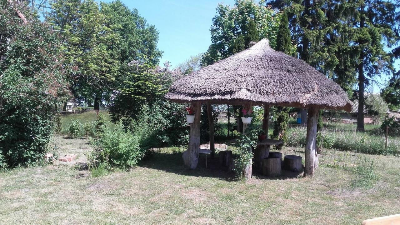 Agroturystyka Pod Debami W Klukach Smołdzino المظهر الخارجي الصورة